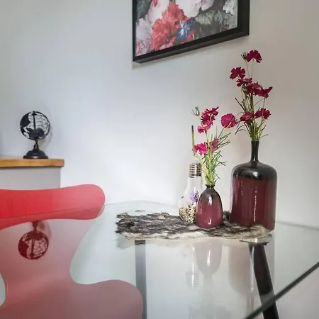Appartement Heerlijk Met Tuin Centrum Uden